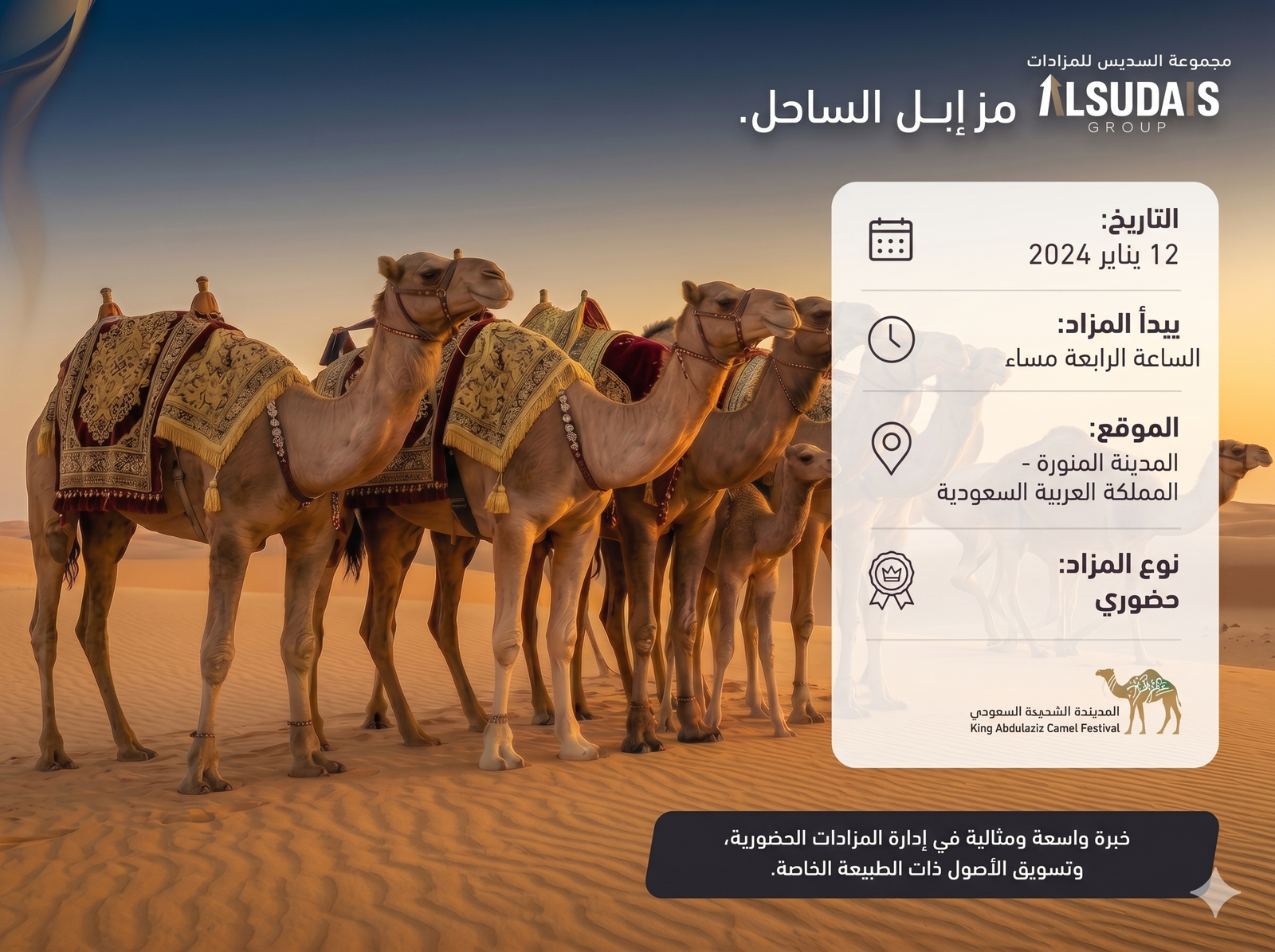 Coastal camel auction — King Abdulaziz Camel Festival